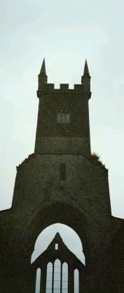 Galway Abbey Shell