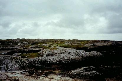 Galway Roonah Quay