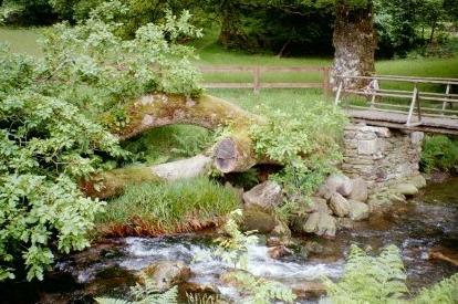 Stream at Glendalough