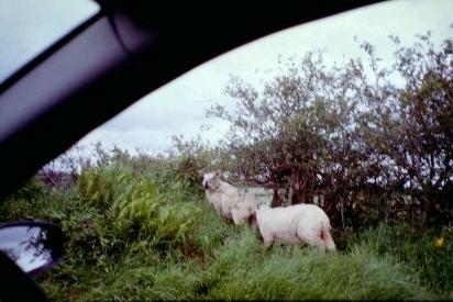 Which way to Glendalough?
