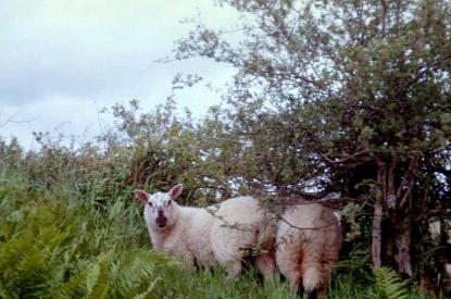 on the left side of the road past the pub